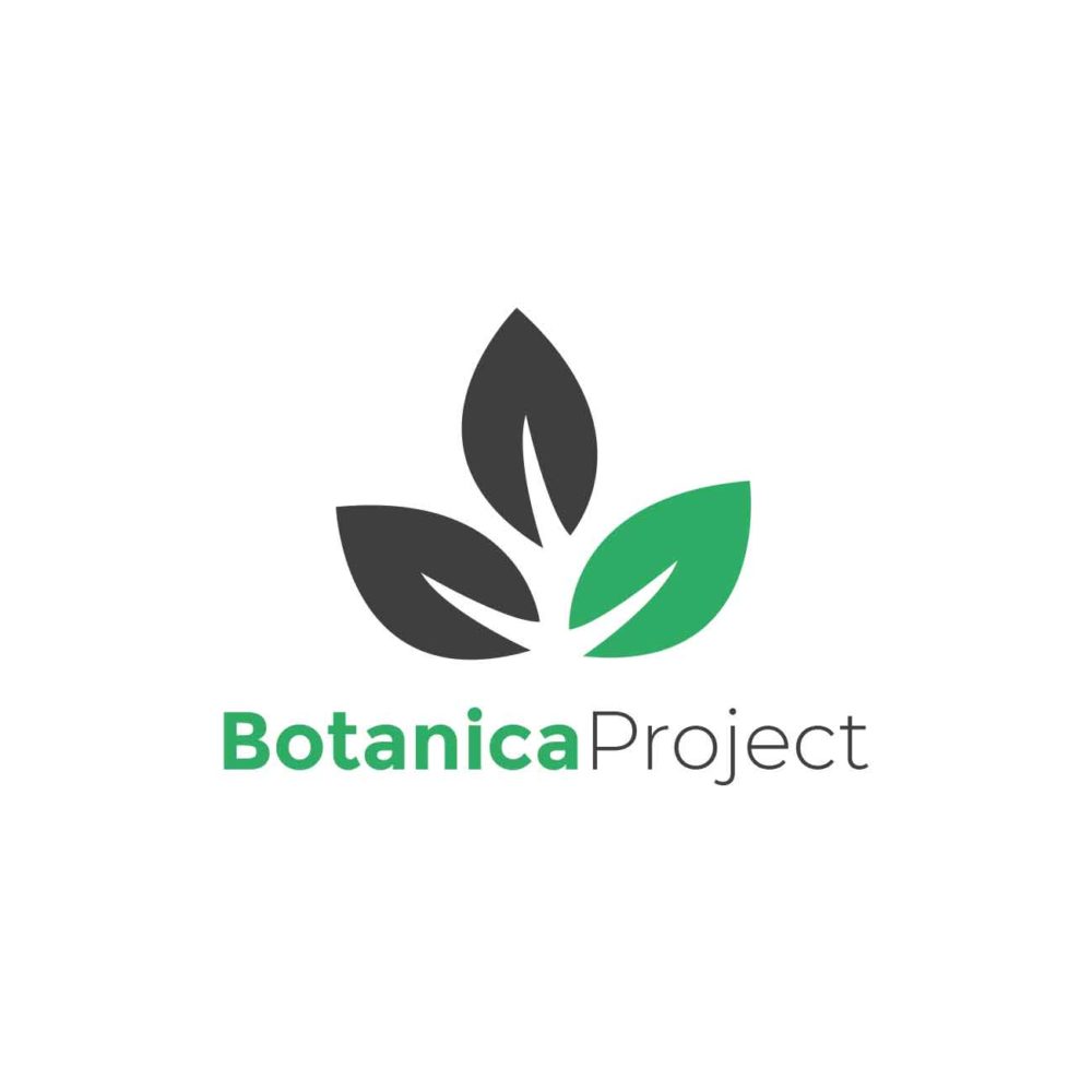 Проект ботаника 23. Ботаника эмблема. Natura Botanica логотип. Yes Botanica логотип. Зоология логотип.